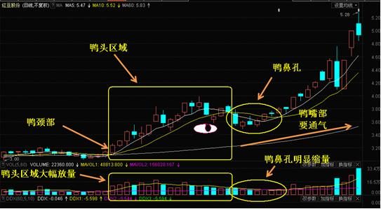 揭秘股票投资：买卖股票最多能赚多少？